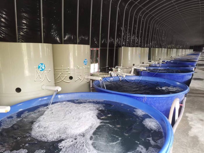 蜂蜜浏览器_1.jpg 蜂蜜浏览器_1.jpg