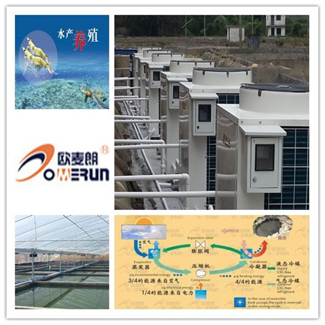 水产养殖拼图.jpg 水产养殖拼图.jpg